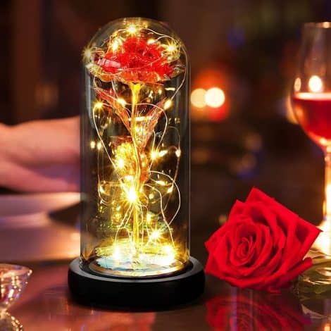 Rose éternelle sous cloche Diifoy, lumière LED, cadeau pour la Saint Valentin, la fête des mères et Noël. Rose Galaxie pour elle, petite amie, épouse. (Rouge Rose)