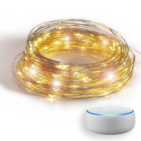 GuirLED – Guirlande lumineuse wifi LED USB – Contrôle vocal – Maison connectée – Alexa & Google Assistant – Adaptateur secteur double USB – 100 LED 10m – Filament argenté.