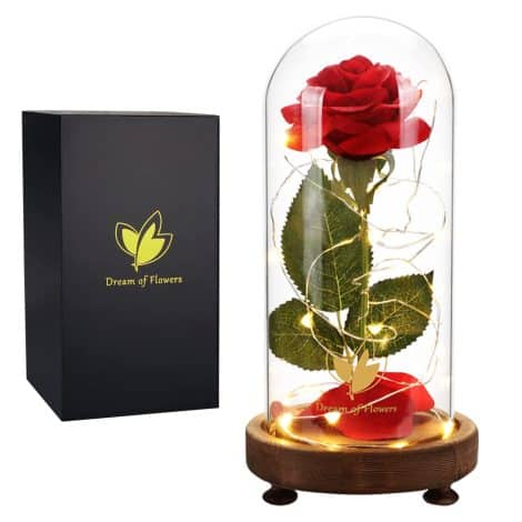 Rêve de Fleurs : Cadeau de Roses pour la Fête des Mères, Rose Belle et Bête dans un Dôme Éternel. Idéal pour petite amie, épouse, maman. Cadeau de Noël pour femmes.