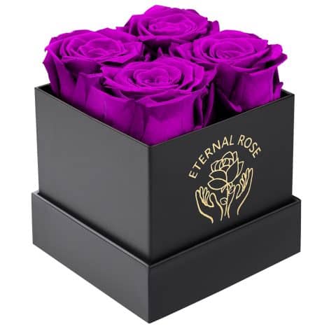 Rose Éternelle DATEFUN, une fleur éternelle dans une boîte cadeau pour ta petite amie, ta maman, ton épouse, ta grand-mère, pour la Saint-Valentin, la Fête des Mères et Noël (Violet).