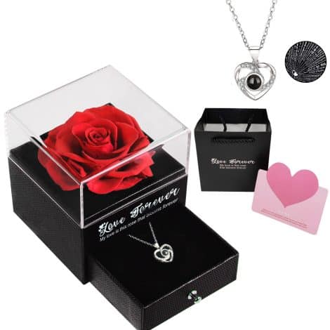 Coffret Cadeau Éternel pour Fête des Mères et Anniversaire, Bijoux Romantiques Femme, Collier Couple Saint Valentin.