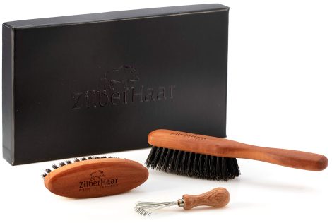 Kit d’entretien ZilberHaar : Brosse à barbe, brosse de poche et outil de nettoyage en poils de sanglier rigides. Parfait pour hommes.