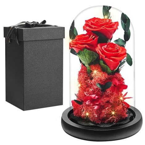 Rose intemporelle en cloche, authentique cadeau de rose pour femmes, belle et préservée, rose sous verre avec lumière LED, cadeau pour petite amie, femme, mère.